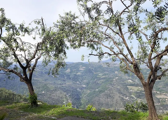 Apartment Terre Bianche *