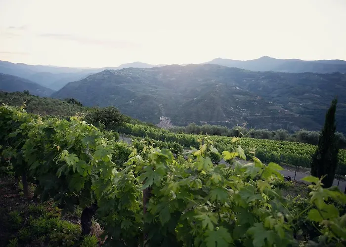 Apartment Terre Bianche *